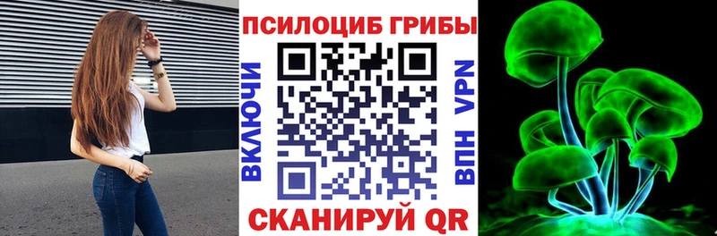 Псилоцибиновые грибы Psilocybe  купить наркотики цена  сайты даркнета наркотические препараты  Татарск 